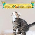 Cat interactive amusement toy with suction cup orbital ball can be used as cat climbing frame